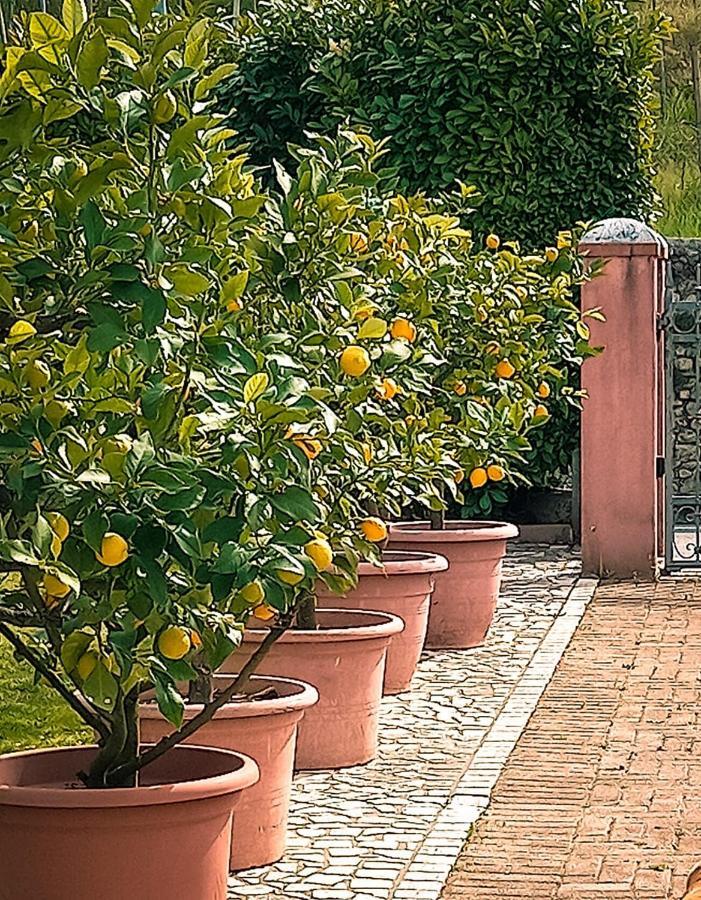 Casa Vacanze Monte Villa Pieve di Soligo Exterior foto